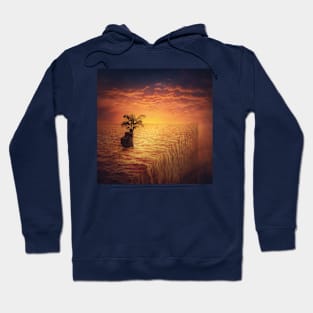 at the edge of the seas Hoodie